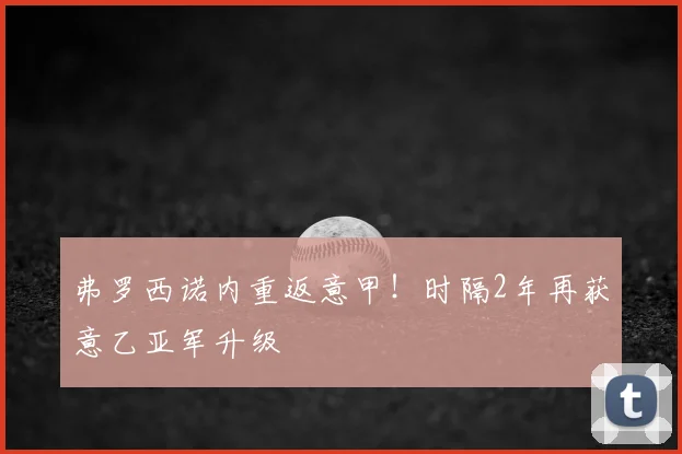 弗罗西诺内重返意甲！时隔2年再获意乙亚军升级